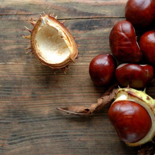 Focus on: horse chestnut extract - Insight Professional